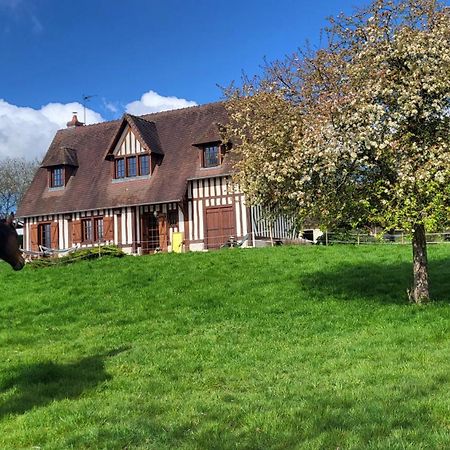 Relais équestre du Miloir - chambres d'hôtes Saint-Desir Extérieur photo