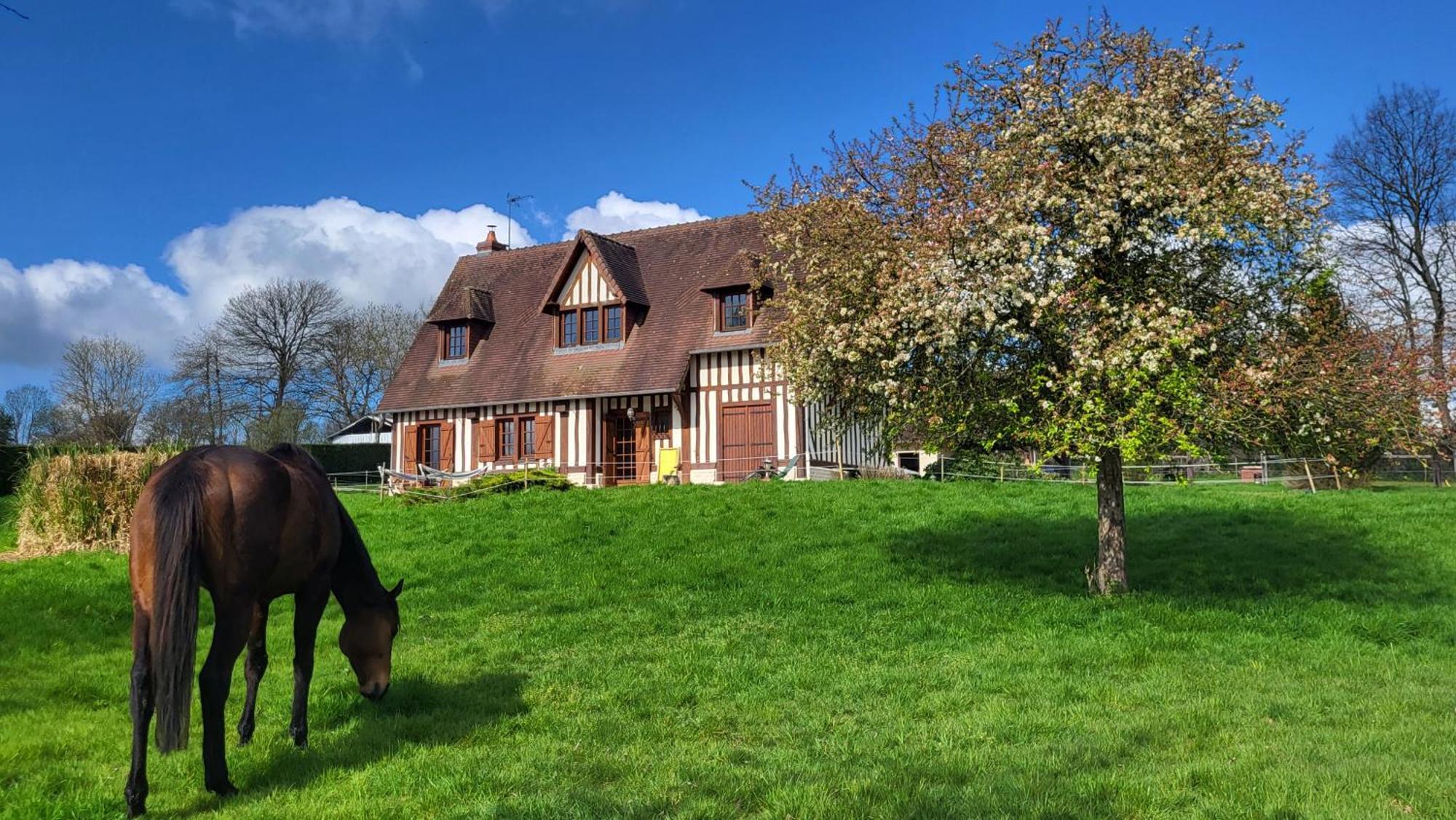 Relais équestre du Miloir - chambres d'hôtes Saint-Desir Extérieur photo