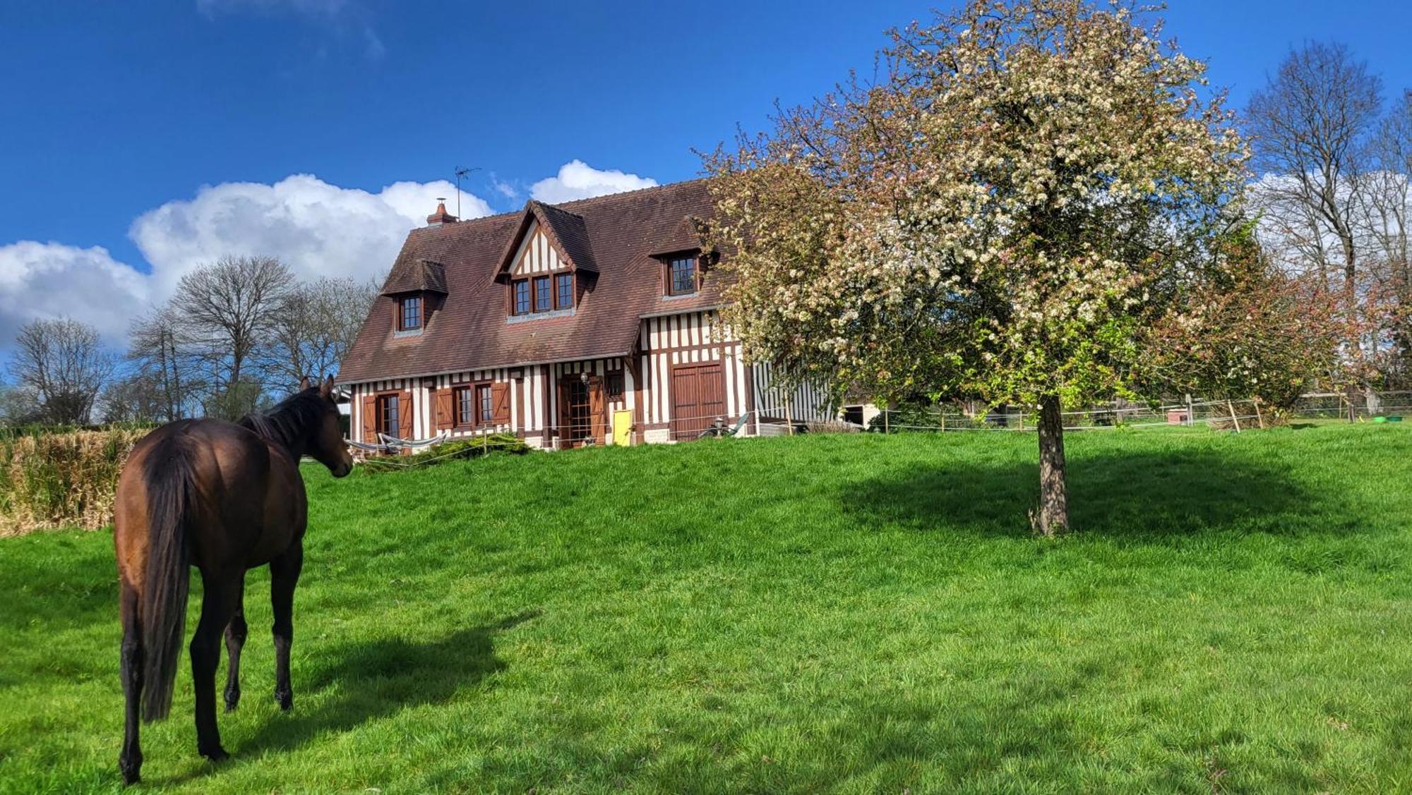 Relais équestre du Miloir - chambres d'hôtes Saint-Desir Extérieur photo